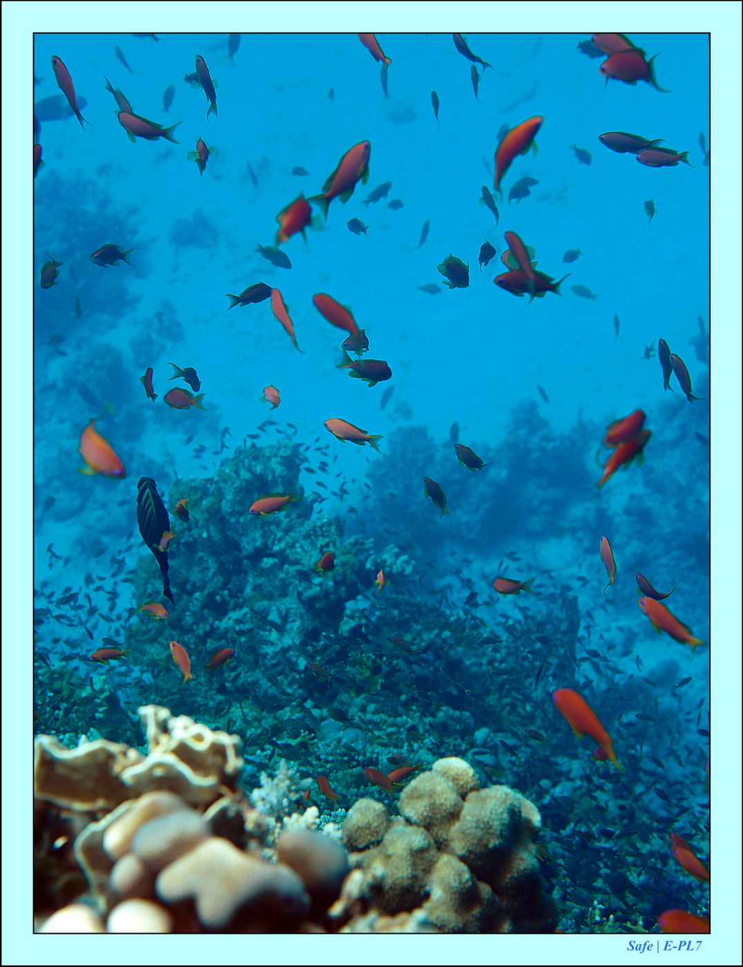 2023 - 03 - Charm El Sheikh - 36